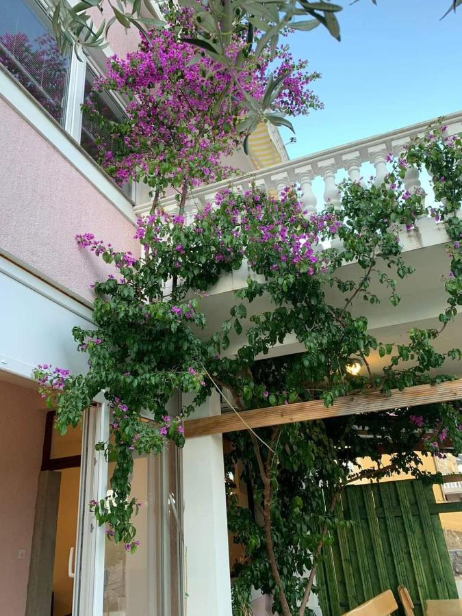 Apartments Sara Posedarje Exterior photo