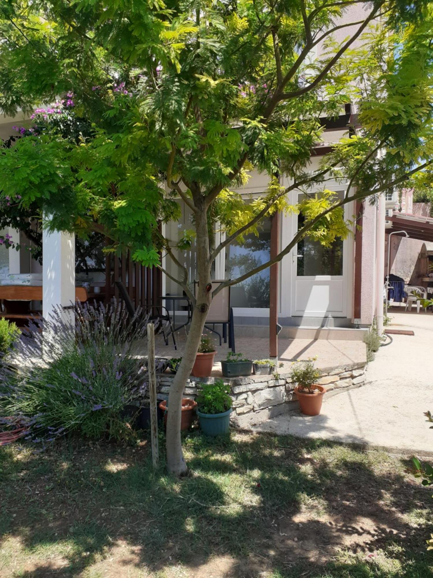 Apartments Sara Posedarje Exterior photo