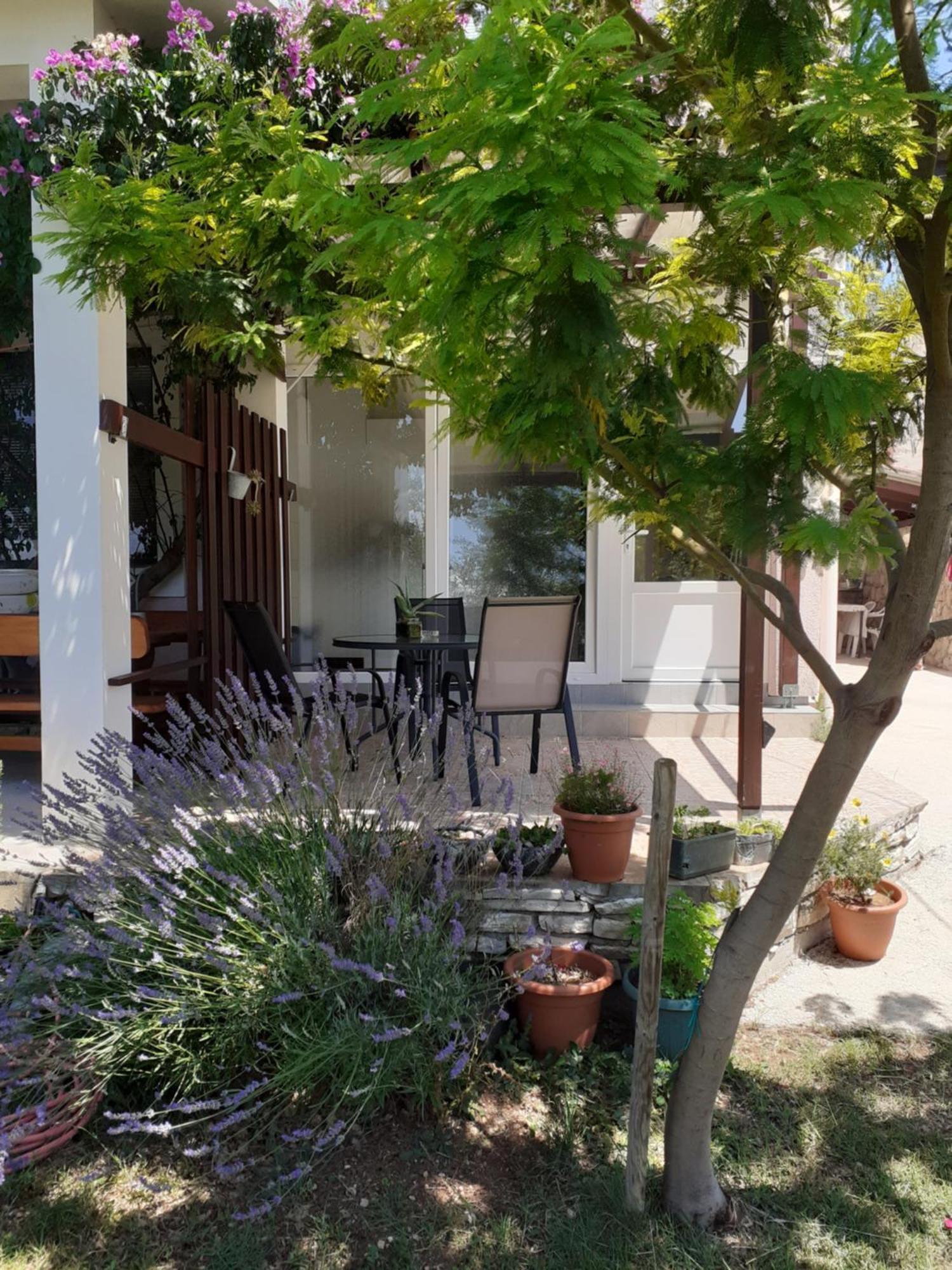 Apartments Sara Posedarje Exterior photo